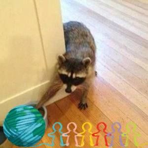 Meet your Posher, Melisa